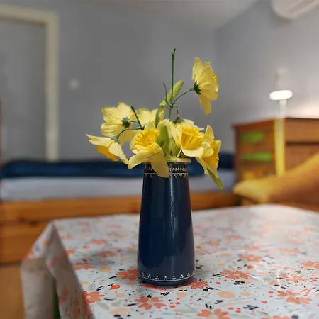 Guest house Hermannliving Monteurzimmer &